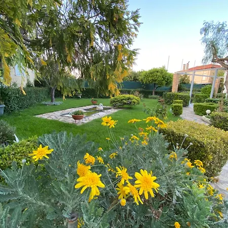 Spyros ディアコプト