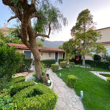 Spyros Appartement