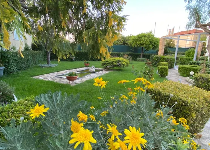 Spyros دياكوبتو